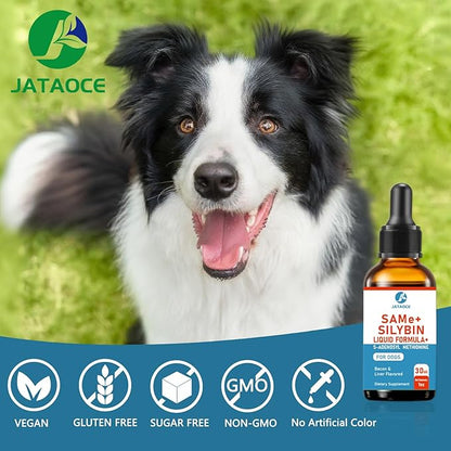 SAMEe for Dogs 500mg Liquid Drops with Silybin – Bacon Liver Flavored Liver Support Supplement for Dogs – S-Adenosyl Methionine & Milk Thistle Extract 60ml (2oz)