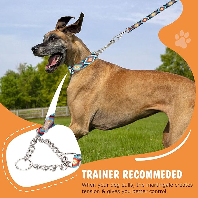 Martingale Dog Collar with Chain, No Pull Slip Cinch Choker Choke Collar Western Boho Aztec Duty Dog Collar for Medium Large Extra Large Pet Dogs,Western XL