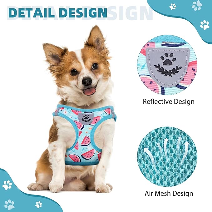 KOOLTAIL Dog Harness and Leash Set for Small Medium Dogs, Step in No Pull Soft Mesh Dog Harness Comfort Padded Pet Vest, Adjustable Reflective Easy Walking Puppy Cats Harness Training, Watermelon S