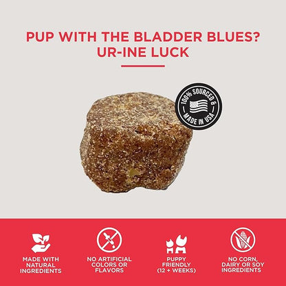Natural Rapport Dog Bladder Support - The Only Bladder Support Chews Dogs Need - 120ct Supplements that Contain Cranberry and D- Mannose to Aid in Kidney Function