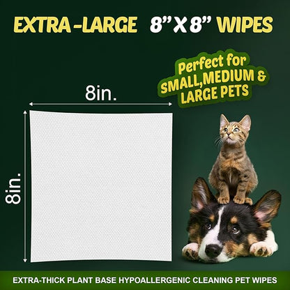 Petazy Dog Wipes for Paws and Butt – 100 Count (8x8in) Hypoallergenic, Deodorizing Pet Wipes for Dogs and Cats | Extra Large, Plant-Based, Lavender Scented | Travel Size, Single On-the-Go Pack