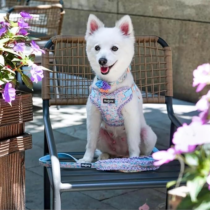 Blueberry Pet Made Well Lovely Floral Print Adjustable Dog Collar in Lavender with Detachable Flower Accessory, X-Small, Neck 7.5"-10"