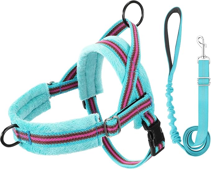 Lukovee No Pull Dog Harness and Leash Set, Soft Padded Small Dog Harness, Neck & Chest Adjustable Reflective Vest Puppy Harness with 4ft Lightweight Anti-Twist Dog Leash for Small Dogs (XXS, 01-LBL)