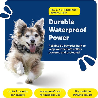 PetSafe RFA-67 6V Replacement Battery 2-Pack - Reliable Lithium Cell Batteries - Waterproof & Weather Ready Replacement Power Source for Compatible Fences & Collars