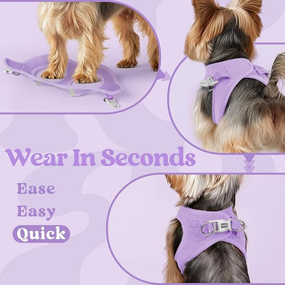 rabbitgoo Small Dog Harness, Step-in Soft Mesh Puppy Vest with Safety Buckle, Breathable Reflective Pet Harness for Small Sized Dogs, Light Purple S