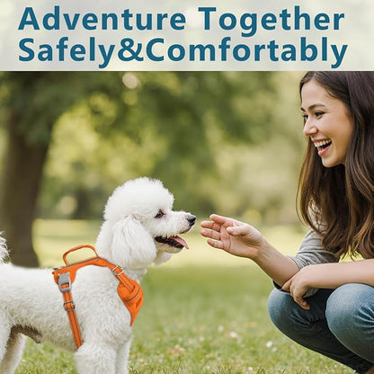 BARKBAY Dog Harness No Pull with ID Tag Pocket - Heavy Duty, Reflective, Easy Control for Large Dogs(Orange,XS)