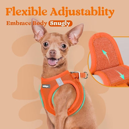 rabbitgoo Small Dog Harness, Step-in Soft Mesh Puppy Vest with Safety Buckle, Breathable Reflective Pet Harness for Small Medium Dogs, Orange XL