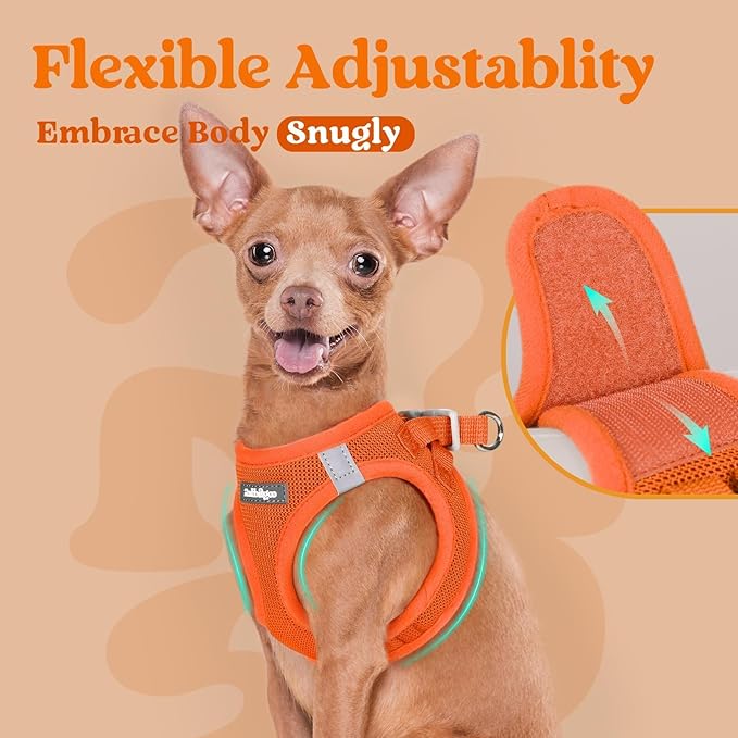 rabbitgoo Small Dog Harness, Step-in Soft Mesh Puppy Vest with Safety Buckle, Breathable Reflective Pet Harness for Small Sized Dogs, Orange S