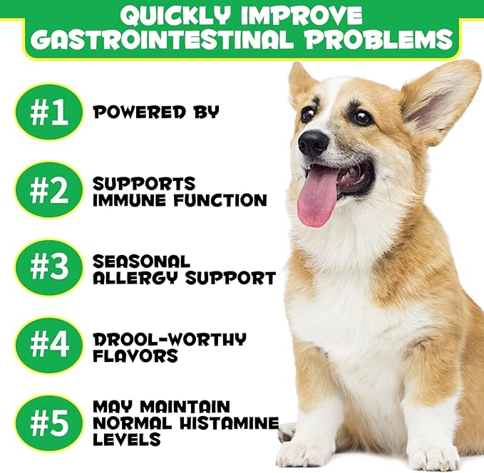 Probiotics for Dogs Digestive Health, Digestive Soft Chews for Dogs, Dog Probiotics and Digestive Enzymes, 120 Dog Chews Omega-3 & 6, Vitamin, Improve Digestion, Immunity