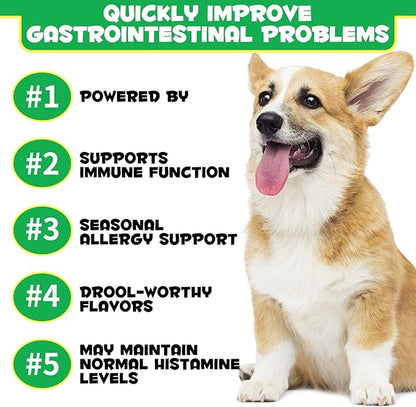 Probiotics for Dogs Digestive Health, Digestive Soft Chews for Dogs, Dog Probiotics and Digestive Enzymes, 120 Dog Chews Omega-3 & 6, Vitamin, Improve Digestion, Immunity