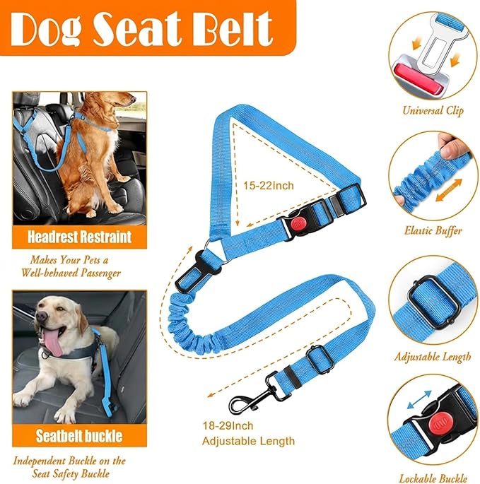 No Pull Dog Harness, Collar & Leash Set | Includes Dog Seat Belt, Collapsible Bowls & Poop Bag Dispenser. Ideal for Training, Walking, Hiking. Fits Small to Large Dogs(Blue-XL)