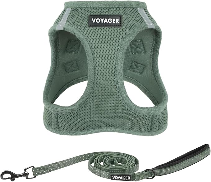 Best Pet Supplies Voyager Step-in Air All Weather Mesh Harness and Reflective Dog 5ft Leash Combo with Neoprene Handle, for Small, Medium and Large Breed Puppies - Set (Moss Green), Small