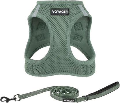 Best Pet Supplies Voyager Step-in Air All Weather Mesh Harness and Reflective Dog 5ft Leash Combo with Neoprene Handle, for Small, Medium and Large Breed Puppies - Set (Moss Green), Small