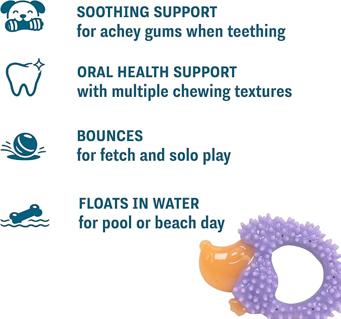 Cutie Chewies Hedgehog Dental Dog Chew Toy — Multi-Textured, Massages Gums, Floats & Bounces for Teething Puppies & Small Dogs, 5" x 3.5" x 1"