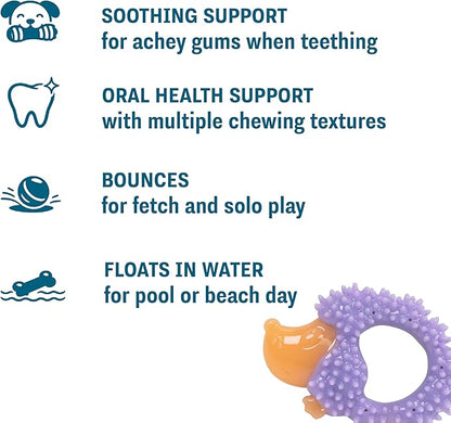 Cutie Chewies Hedgehog Dental Dog Chew Toy — Multi-Textured, Massages Gums, Floats & Bounces for Teething Puppies & Small Dogs, 5" x 3.5" x 1"