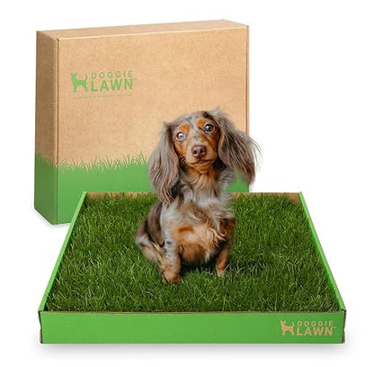 DoggieLawn Real Grass Puppy Pee Pads- 24 x 16 Inches - Perfect Indoor Litter Box for Dogs - No Mess, Easy-to-Use - Potty Training for Pets - Eco-Friendly Disposable Bathroom with Real Living Grass