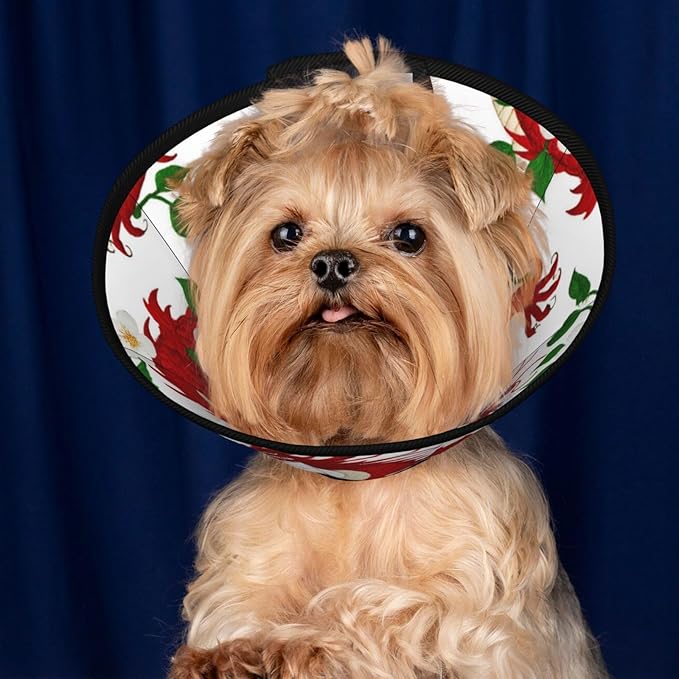 Breathable Dog Cones for Small Medium Large Dogs, Floral Chinese Japanese Dragon Flower Recovery Collars for Puppies and Kittens After Surgery, Elizabethan Collar to Stop Licking