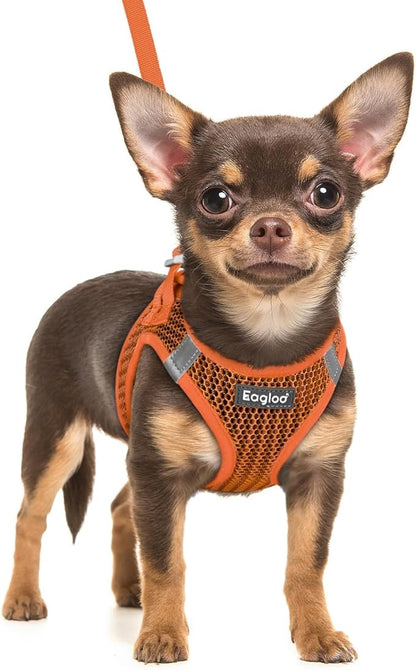 Eagloo Small Dog Harness and Leash Set, Step in Puppy Vest with Breathable Soft Mesh, Walking Reflective Pet Harness for Small Dogs, Orange, XXS