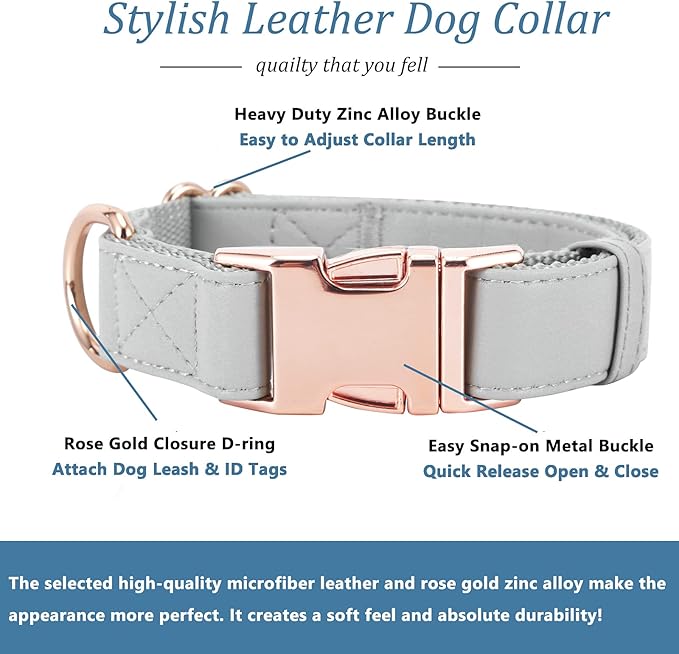 Dog Collar and Leash Set.Soft and Easy to Clean Vegan Leather with Rose Gold Metal Buckle for Small Medium Large Dogs (Grey, XS(8"-12"))