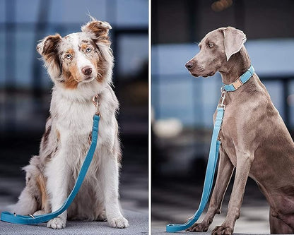 Soft Leather Dog Collar and Leash (6.6') Set - Stylish Rose Gold Heavy Duty Metal Buckle, 4 Adjustable Lengths Leash for Small Medium Large Dogs - Comfortable & Easy to Clean Light Blue XS(8"-12")