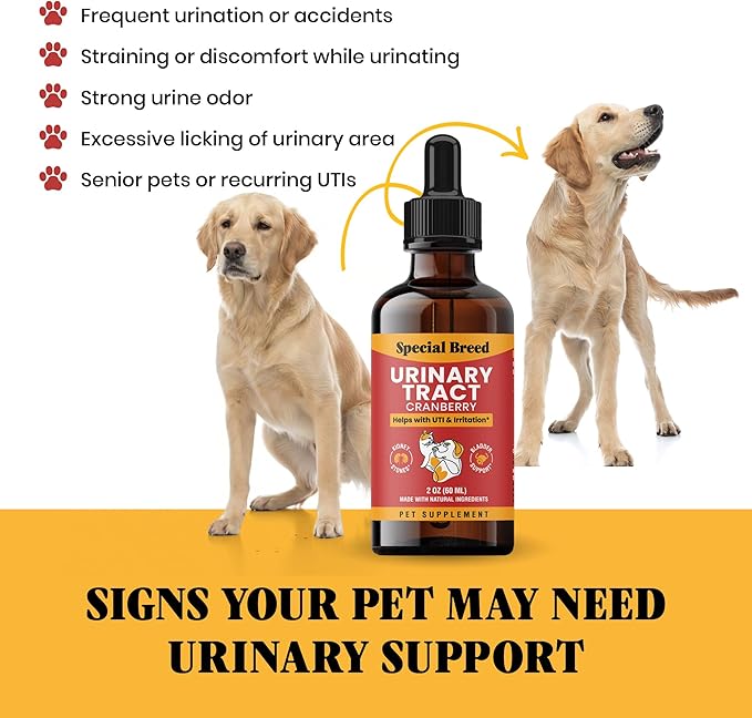 Cat & Dog Urinary Tract Infection Treatment – Natural UTI Relief with Cranberry Drops – Kidney & Bladder Support – Helps Incontinence, Frequent Urination, Bladder Stones – Pet Renal Care Drops
