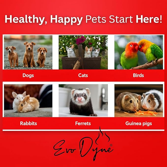 2-Pack Styptic Powder for Dogs, Cats, and Birds (2 oz) by Evo Dyne | Fast-Acting Blood Stop Powder for Pets | Quick Stop Bleeding for Dog Nail Clipping, Grooming, Cuts and More
