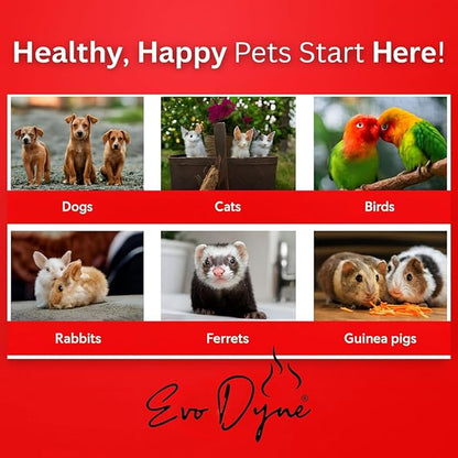 3-PK Styptic Powder for Dogs, Cats, and Birds (2 oz) by Evo Dyne | Fast-Acting Blood Stop Powder for Pets | Quick Stop Bleeding for Dog Nail Clipping, Grooming, Cuts and More (3-Pack)