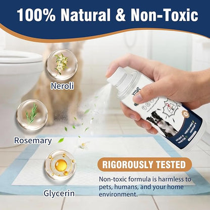 Potty Training Spray for Dogs, Go Here Dog Potty Training Spray & Dog Pee Spray, Puppy Potty Training Aid for Housebreaking, Natural Indoor & Outdoor Use, 5.07 Fl OZ