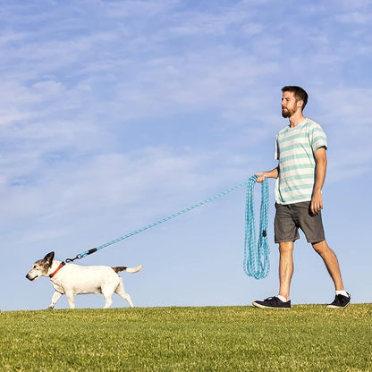 Long Dog Leash for Training 50Ft-Reflective Nylon Rope with Swivel Hook-Recall Agility Lead for Large Small Medium Dogs Outside Walking Hiking-Sky Blue