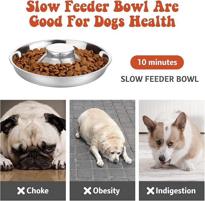 4 Pcs Stainless Steel Puppy Weaning Bowls, Cat Bowls for Food Water, Multiple Puppies Feeder Whelping Dishes, Litter Feeding Station Pans for Small Dogs Cats Eating at Same Time
