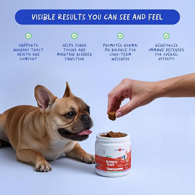 Cranberry for Dogs - 90 Soft Chews - Urinary Tract Support, Bladder Health, Dog UTI, Bladder Stones, Incontinence Support (Soft Chews)