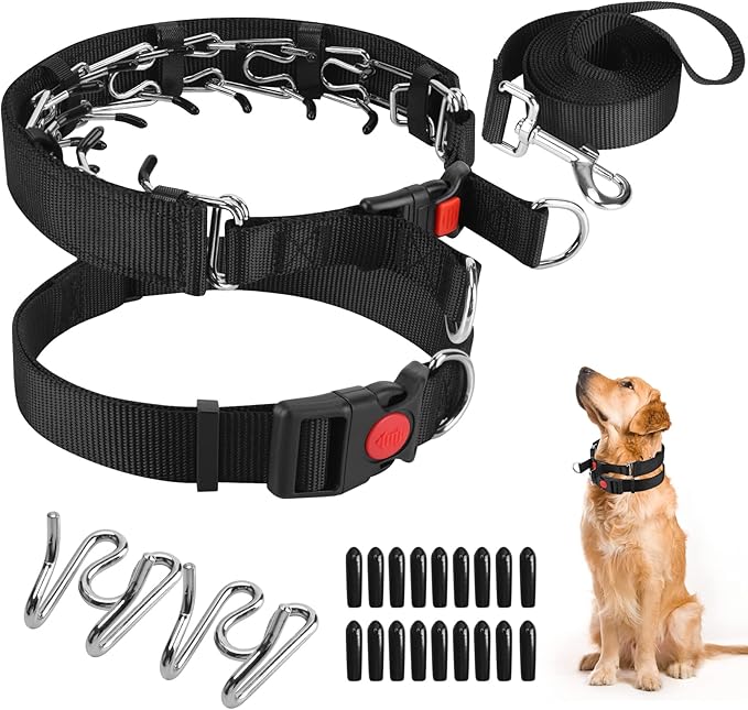 Prong Training Collar with Comfort Tips and Quick Release Snap Buckle - Dog Choke Pinch Collar with Nylon Cover