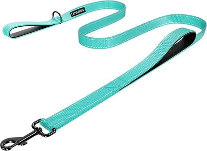 Dog Leash 6ft Long, Double Handle Dog Leash for Safety Control Training, Heavy Duty Dog Leads with Traffic Padded Handles, Reflective Leashes for Small Medium Large Dogs(6ft, Turquoise)