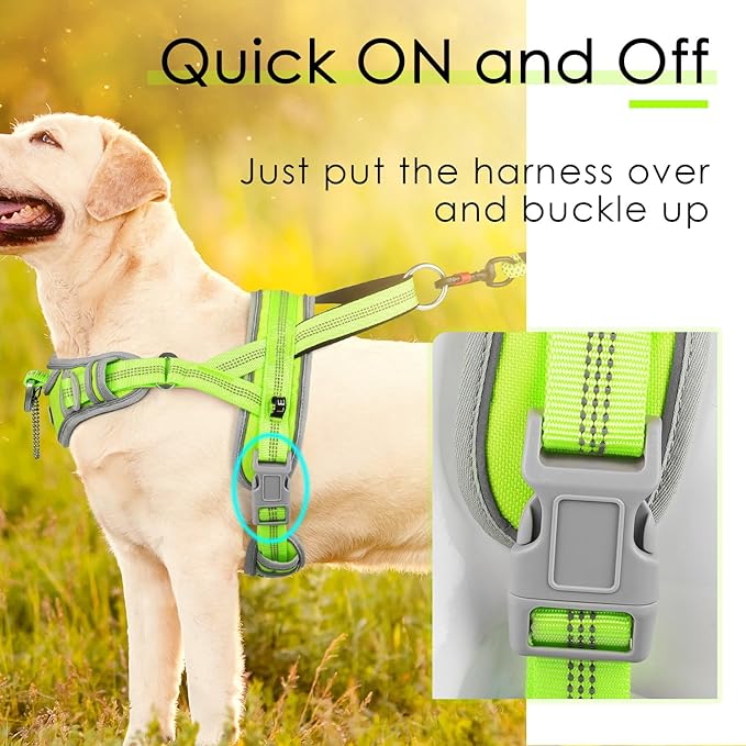 ADVENTUREMORE Medium Dog Harness - No Pull, Adjustable Reflective Vest with Front Clip Handle for Training & Walking - M Green