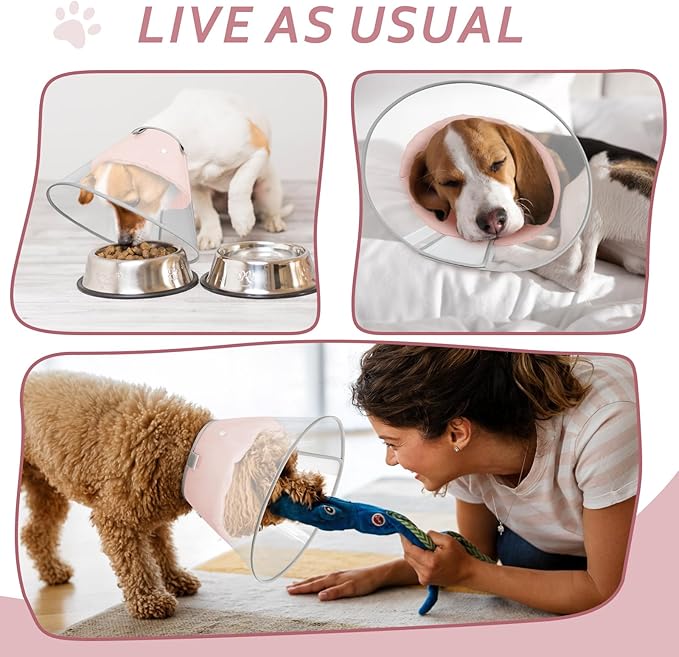 Dog Cone Collar with Snap-on Detachable Soft Liner, Lightweight Transparent Elizabethan Alternative to Stop Licking, for Spay Neuter Surgery Recovery, for Medium Large Small Dogs (Pink,XL)