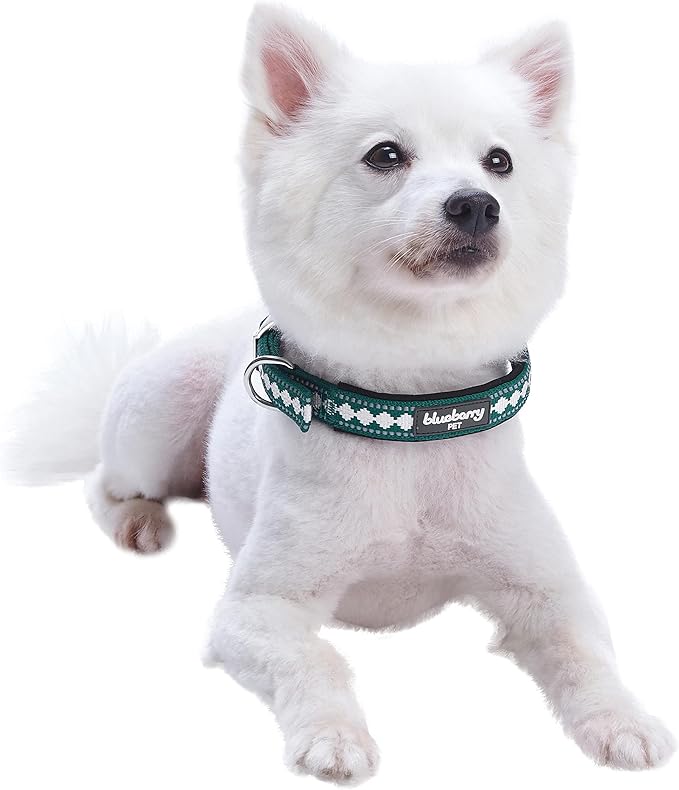 Blueberry Pet Reflective Jacquard Dog Collar with Neoprene Padding & Metal Buckle | Soft & Adjustable Safety Collar - Teal Blue