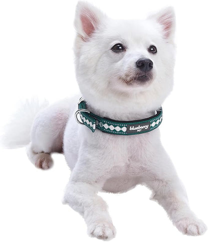 Blueberry Pet Reflective Jacquard Dog Collar with Neoprene Padding & Metal Buckle | Soft & Adjustable Safety Collar - Teal Blue