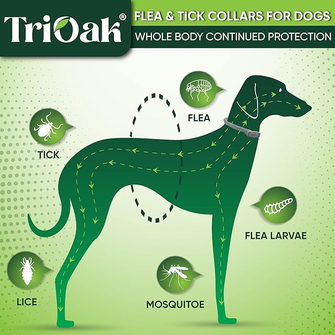 Flea and Tick Prevention Collar for Dogs, Adjustable Dog Flea and Tick Treatment for Puppy, Small, Medium, Large, and Extra Large Dogs, Best Natural Flea and Tick Collars (Gray Collar)