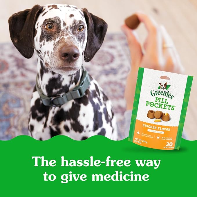 Greenies Pill Pockets for Dogs Large Size, Dog Treat Pouch for Capsule Medication, Chicken Flavor, (6) 7.9 oz. Pouches