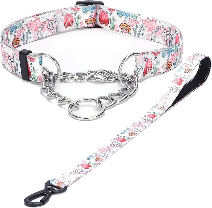 Martingale Dog Collar and Leash Set, Stainless Steel Chain, No Pull Training Collar with Flower Design, for Small, Medium, Large Dogs (NO26, S)