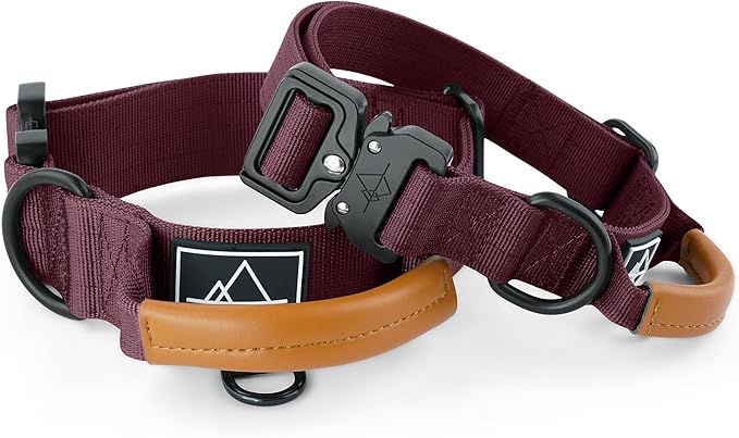 Made to ROAM Premium Explorer Control Collar - Adjustable Heavy Duty Nylon Dog Collar with Quick-Release Metal Buckle and Handle (Vermont Weekends, Control Size 5)
