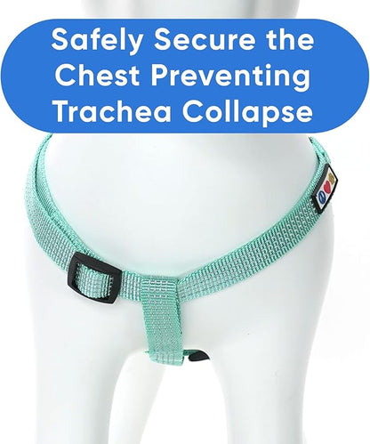 Pawtitas Reflective Step-in Dog Harness – Adjustable No-Pull Vest for Puppies to Seniors, Safe & Comfortable, S Teal