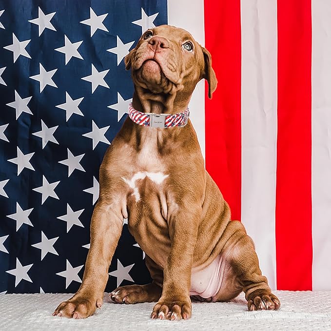 Unique style paws Independence Day Dog Collar Metal Buckle Striped Star Collar Gift Durable Cute Collar for Small Medium Large Boys Girls Dogs