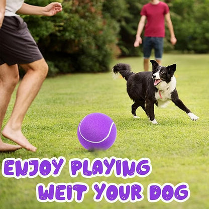 Banfeng Big Tennis Ball for Dogs, Giant Dog Tennis Ball Toy Large Outdoor Sports Gift for Small Medium Large Dog (Purple, 9.5 inch)
