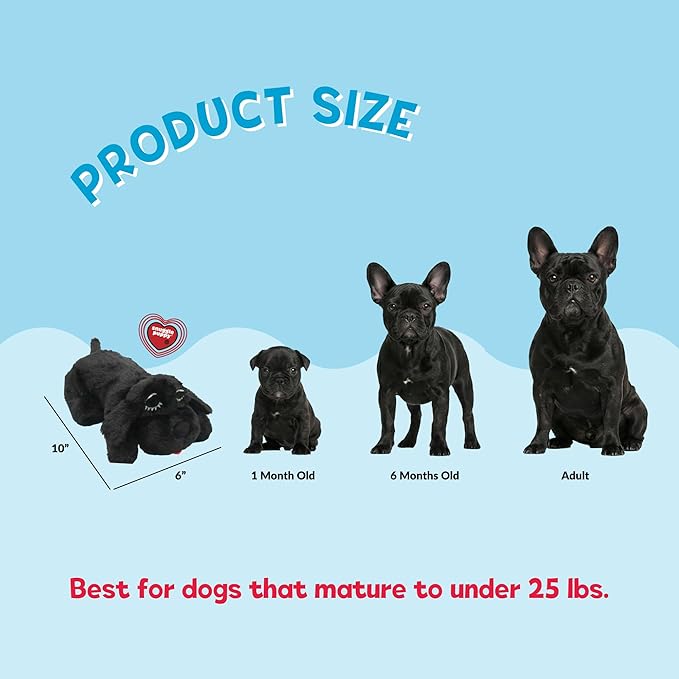 Snuggle Puppy Original Junior Heartbeat Puppy Toy for Small Breeds, Compact Plush Dog Toy with Real-Feel Pulse for Crate Time and Rest - Black