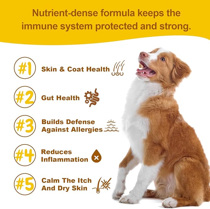 Allergy & Immune Support for Dogs Anti-Itch - Provide Seasonal Allergy Relief, Dog Probiotics for Itchy Skin, Ears, Eyes, and Stops Paw Licking - 90 Soft Chews