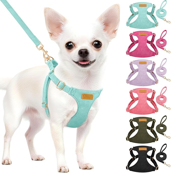 SlowTon Dog Harness Small Sized Dog - Soft XXS Dog Harness and Leash Set No Pull No Chock, Adjustable Lightweight Puppy Harness for XS Small Medium Dogs Cats (Solid Light Blue, XS)