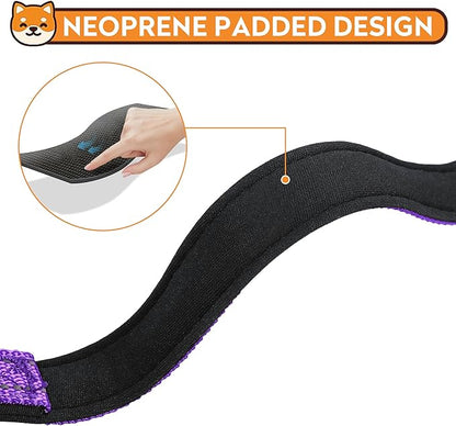 Reflective Dog Collar, Adjustable Soft Neoprene Padded Nylon Pet Collars with Buckle for Puppy and Small Dogs, Cats, Purple,XS