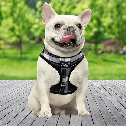 PUPTECK Soft Mesh Dog Harness and Leash Set Pet Puppy Cat Comfort Padded Vest No Pull Harnesses, Black, XS