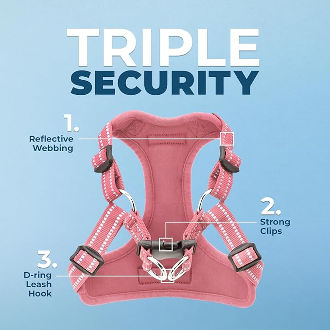 Best Pet Supplies Voyager Adjustable Step-in Flex Breathable Mesh Dog Harness for Small Medium Large Dogs (Pink), XS